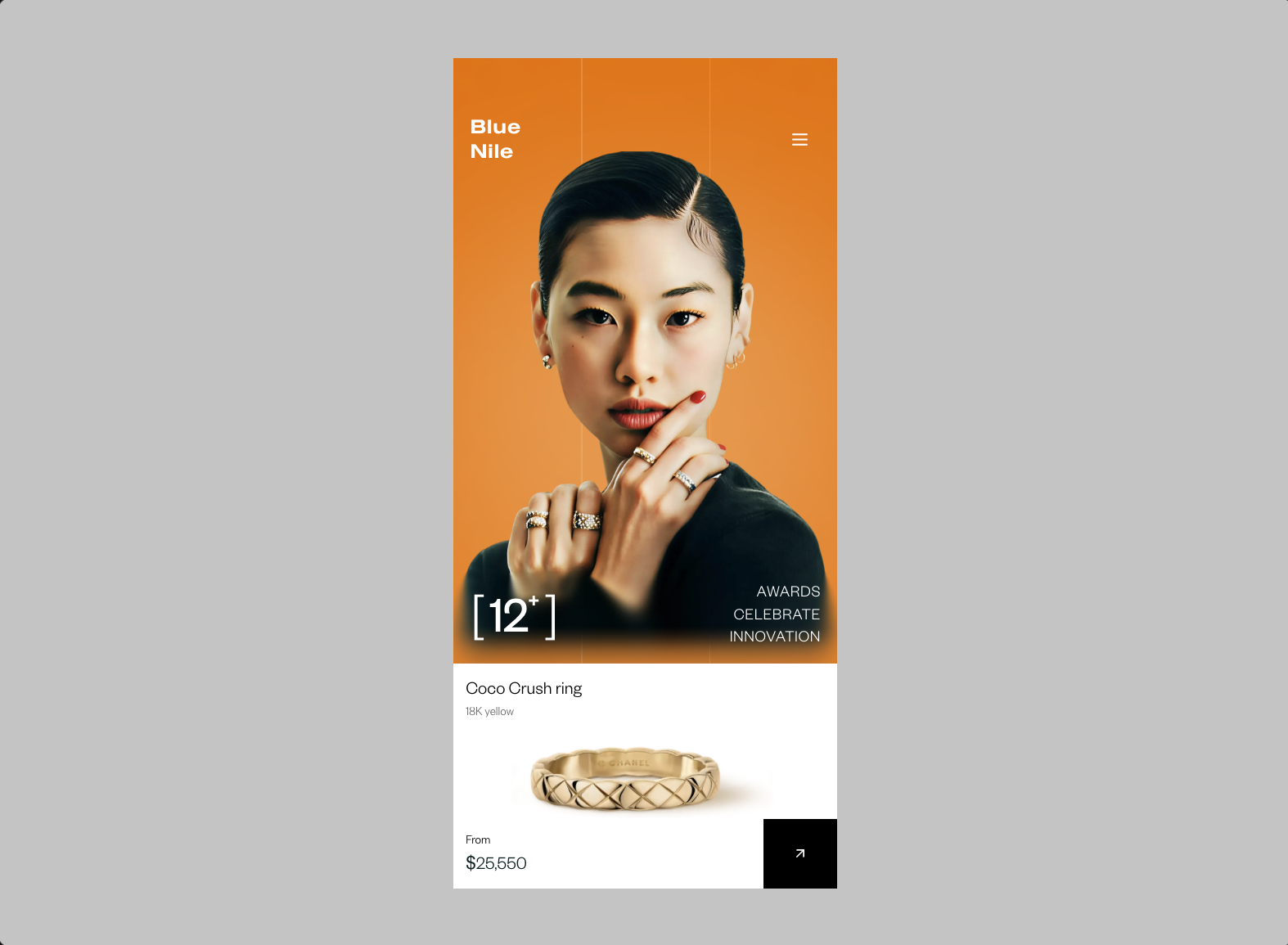 Fine Jewelry Shop 预览